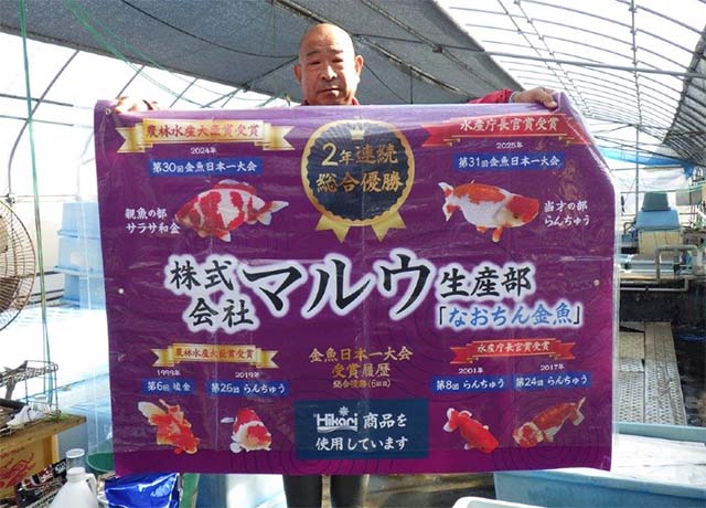 なおちん金魚氏