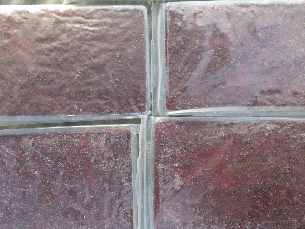 インドネシア産冷凍赤虫５枚セット