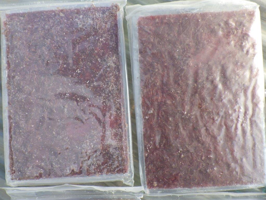 インドネシア産冷凍赤虫５枚セット